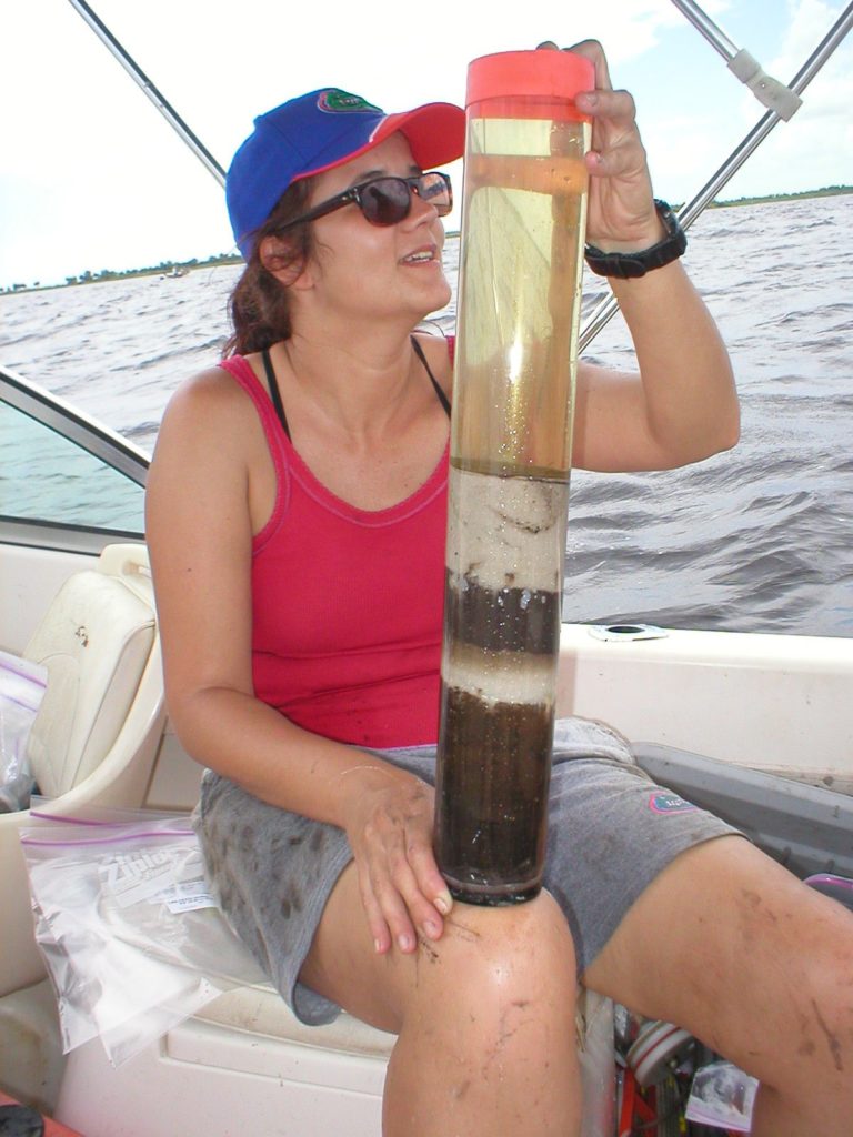Lake sediment in Florida, USA