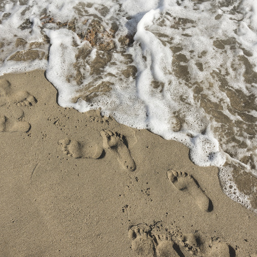 Water Footprint | Xeero.io