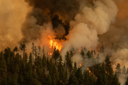 Forest Fire during Heat Wave